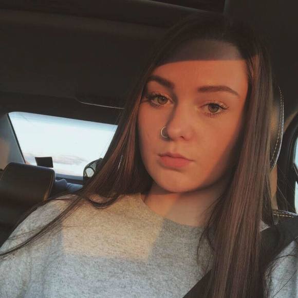 Meet your Posher, Bailey - Picture 1 of 1